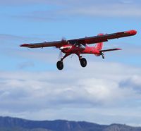 PHOTO-2022-10-05-21-48-31